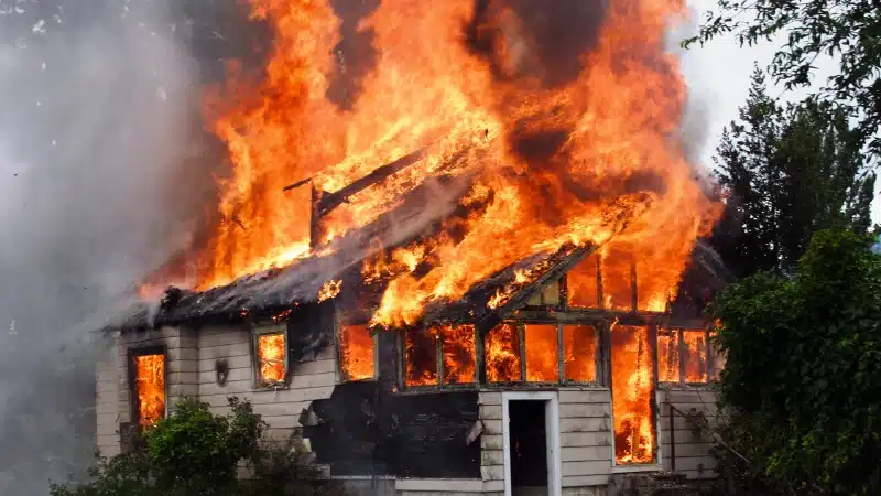 What You Need to Know About Wildfire Insurance in California