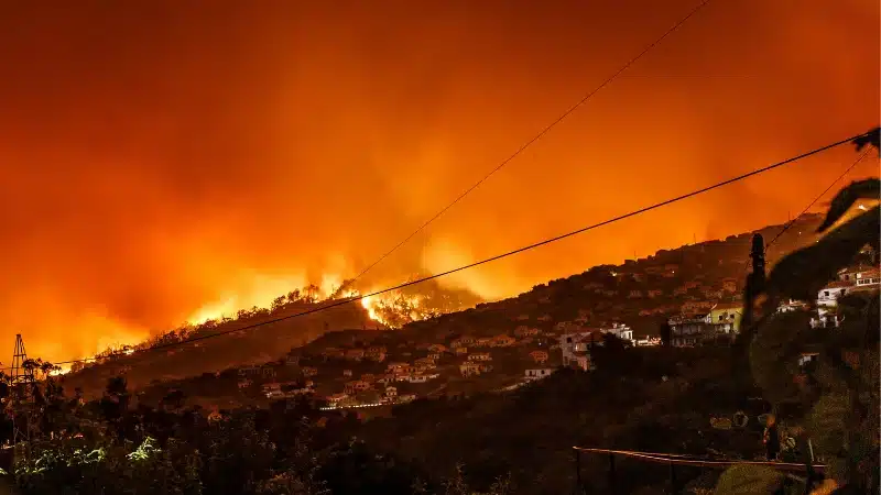 Navigating Home Insurance California in High-Risk Fire Areas